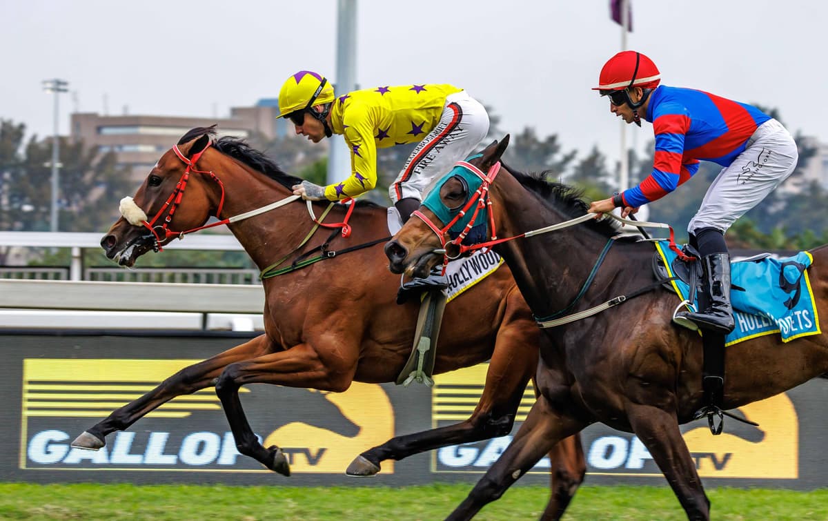 Curious Girl will be a stayer, no doubt