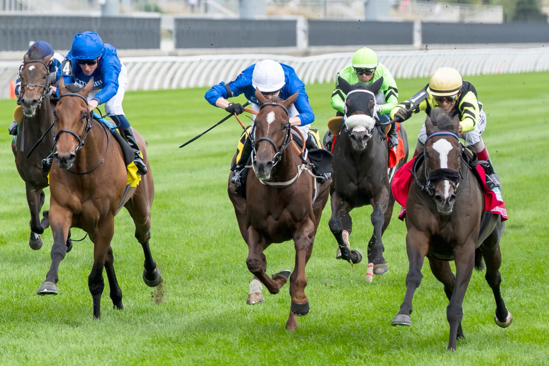 Gimme A Nother wins prestigious G1