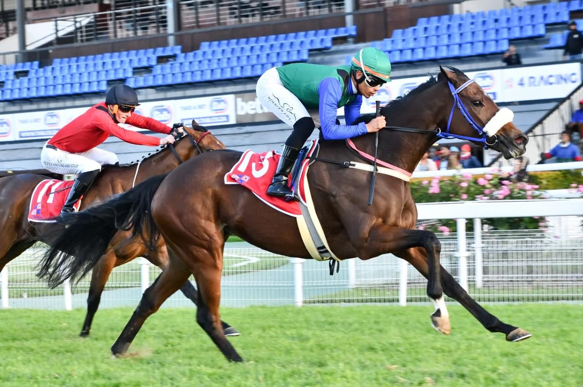 Two runners at Turffontein, Saturday