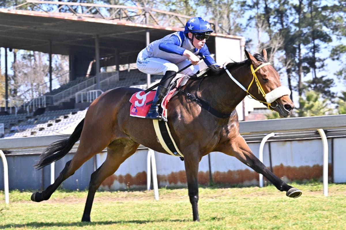 Turffontein runner comments, Tuesday 21 July