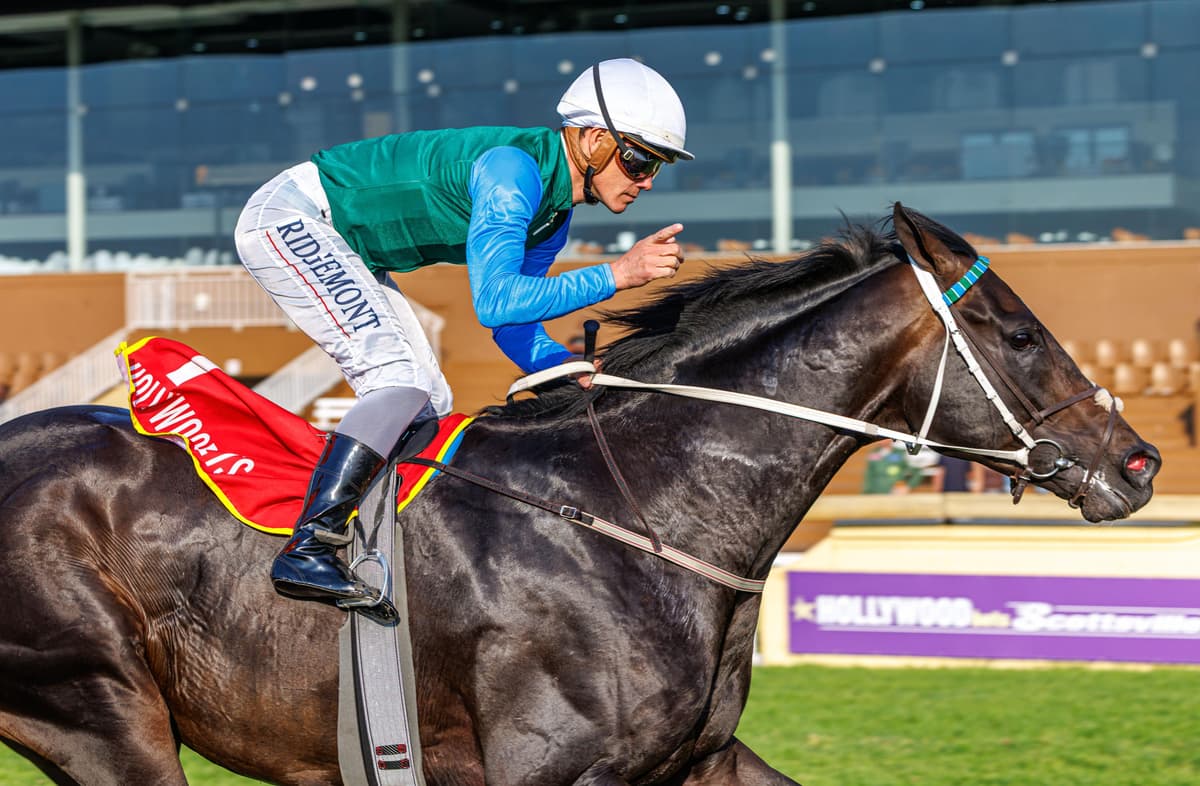 Esteemed Roars Back After 487-Day Absence
