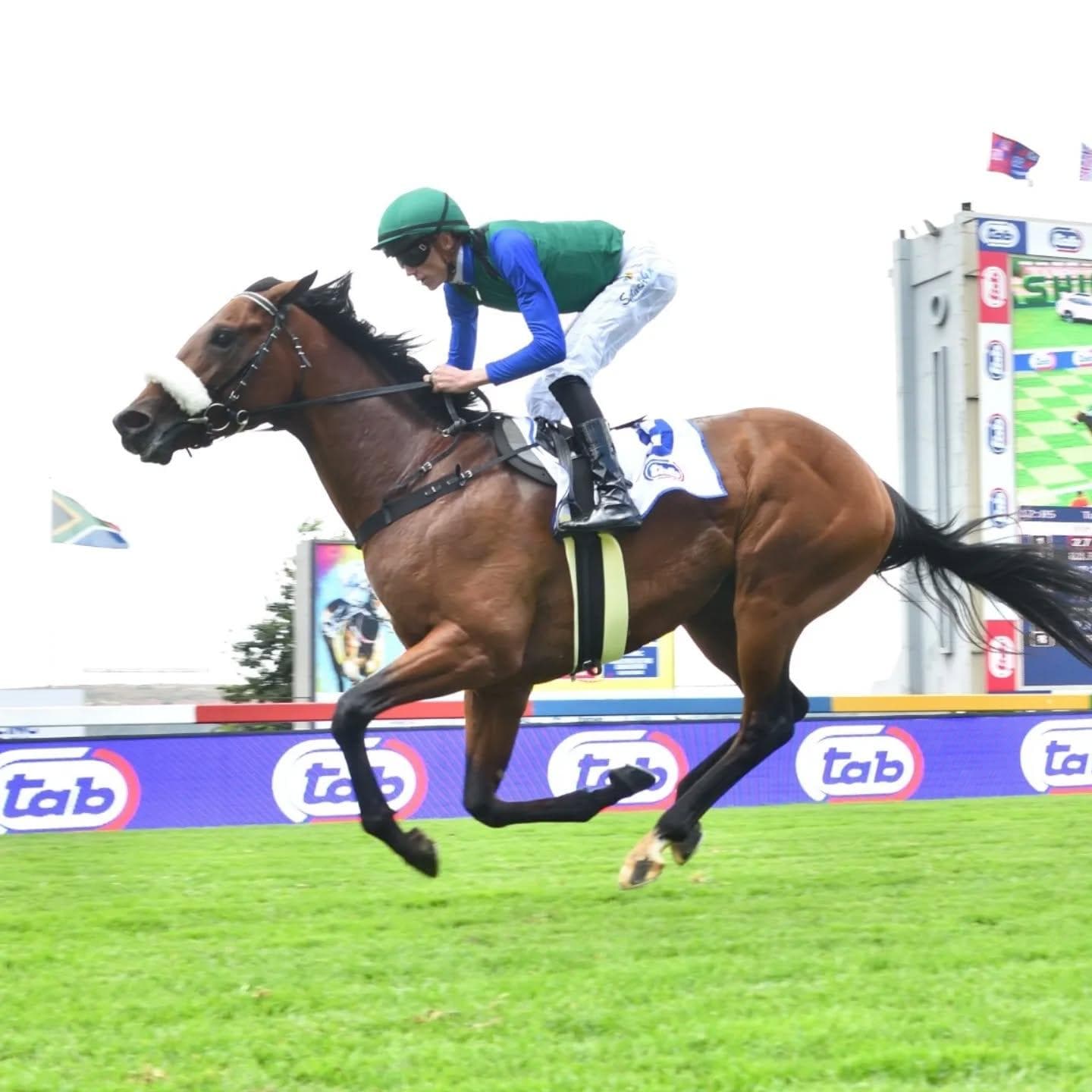Charity Mile contenders impress in grass gallop
