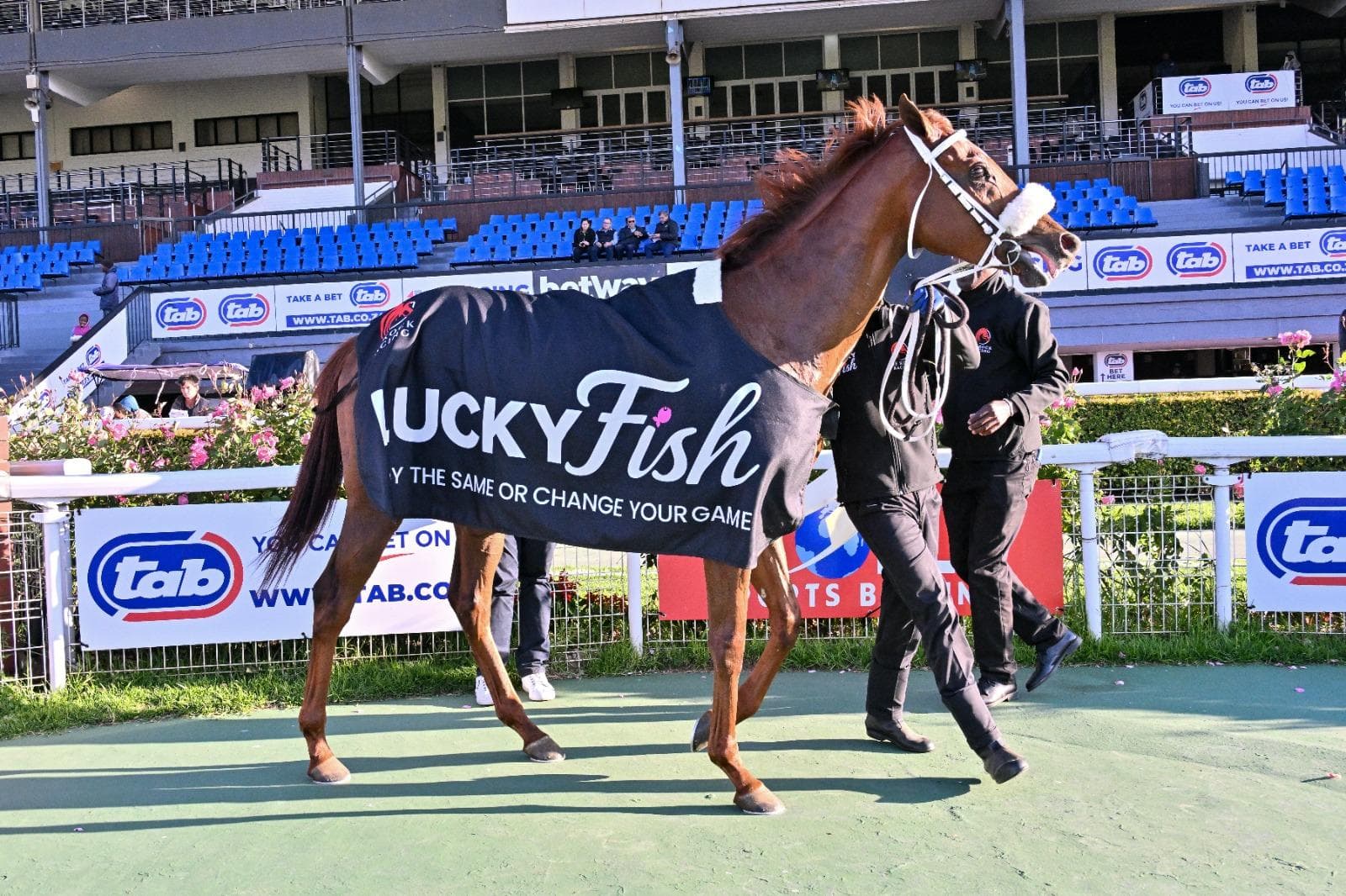 Runners at Turffontein on Sunday