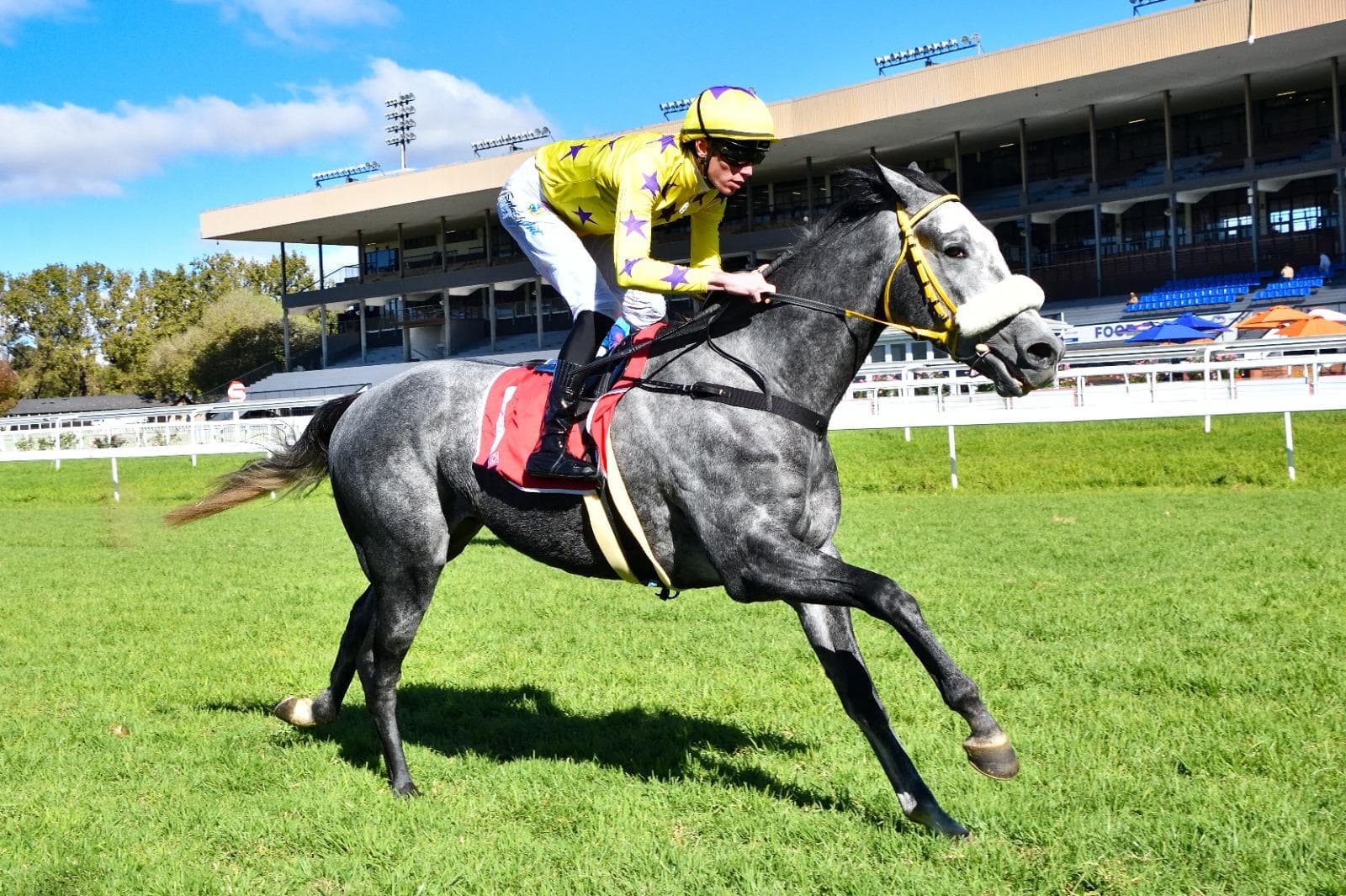 Vaal runners, Thursday 6 August