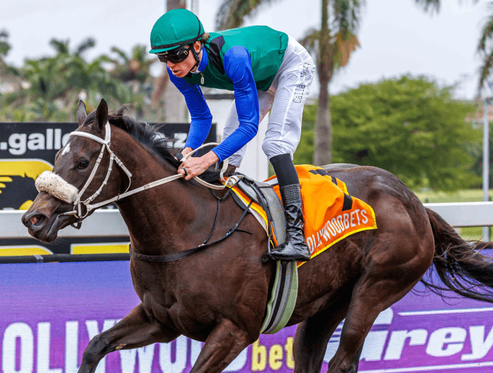Friday runner comments, HWB Greyville