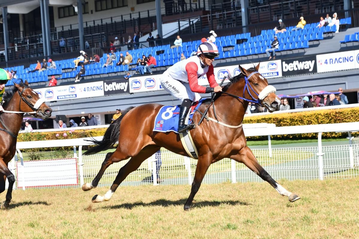 Runners, Vaal Thursday 8 October 2026