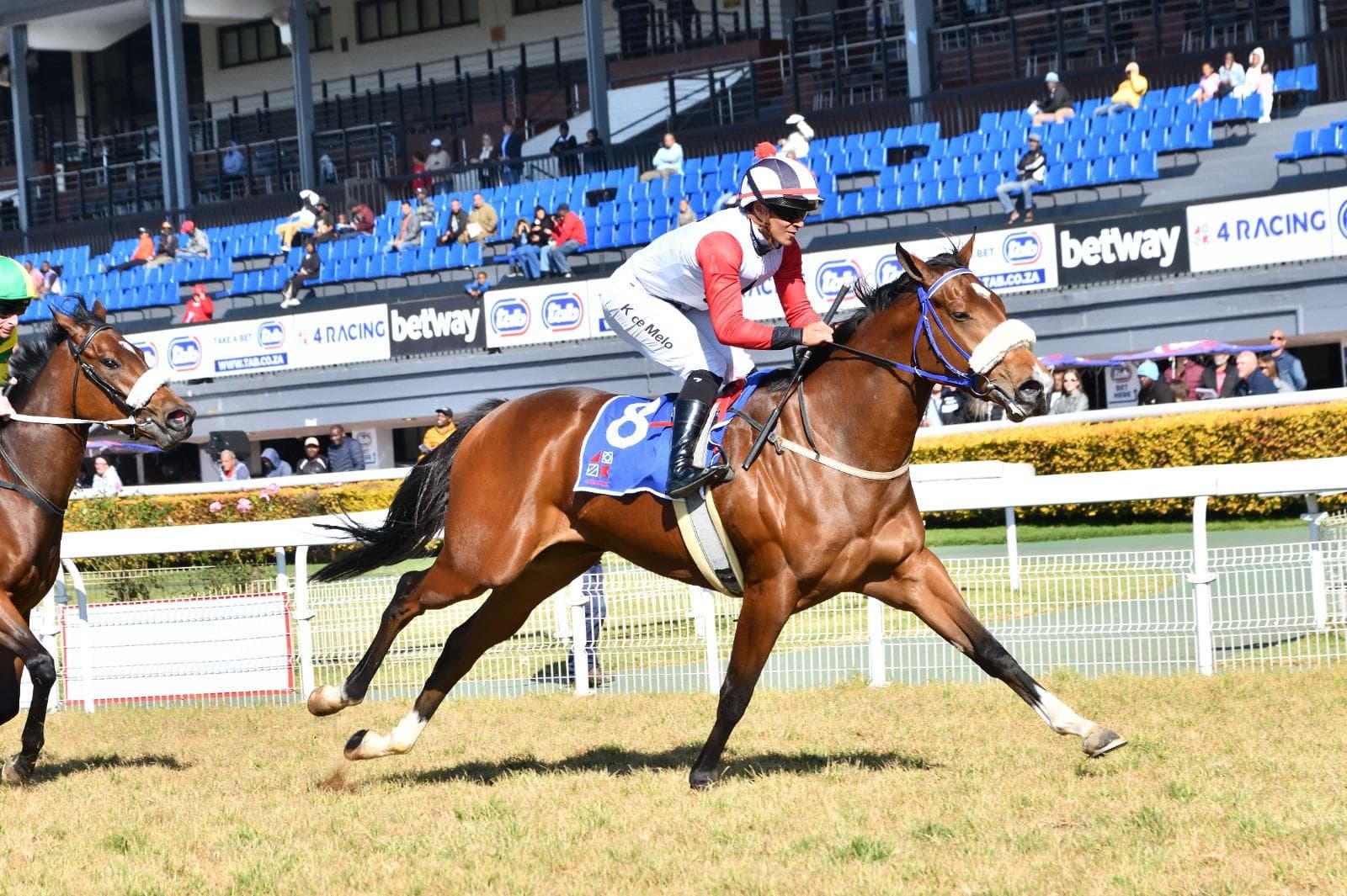 Runners, Vaal Thursday 8 October 2026