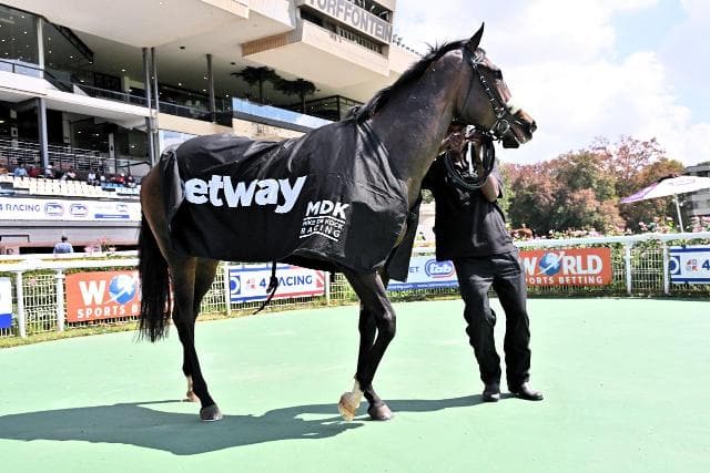 Runner previews for Thursday at Turffontein