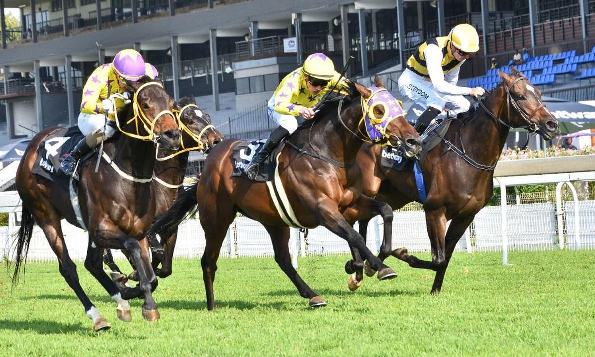 Miami Mountain "wanted to win!"