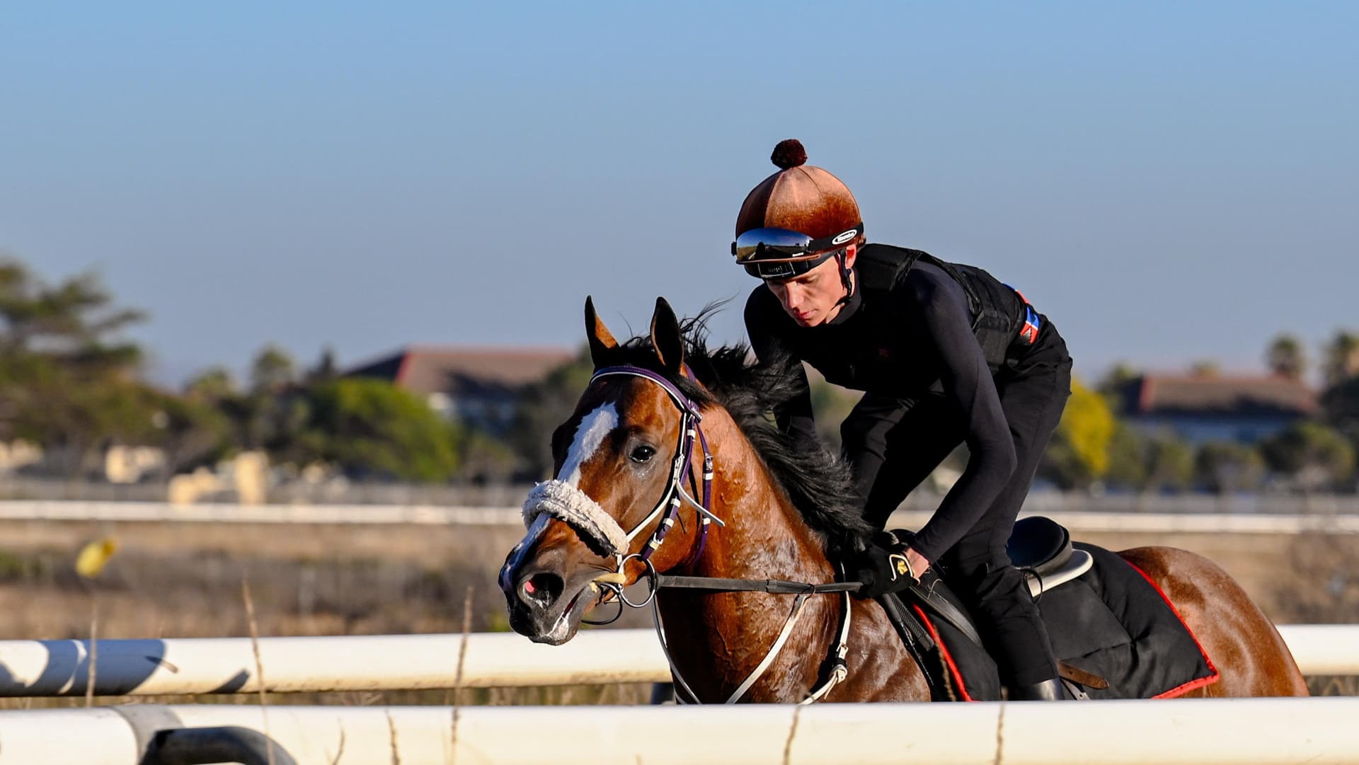 Jan van Goyen is scratched from HWB Durban July