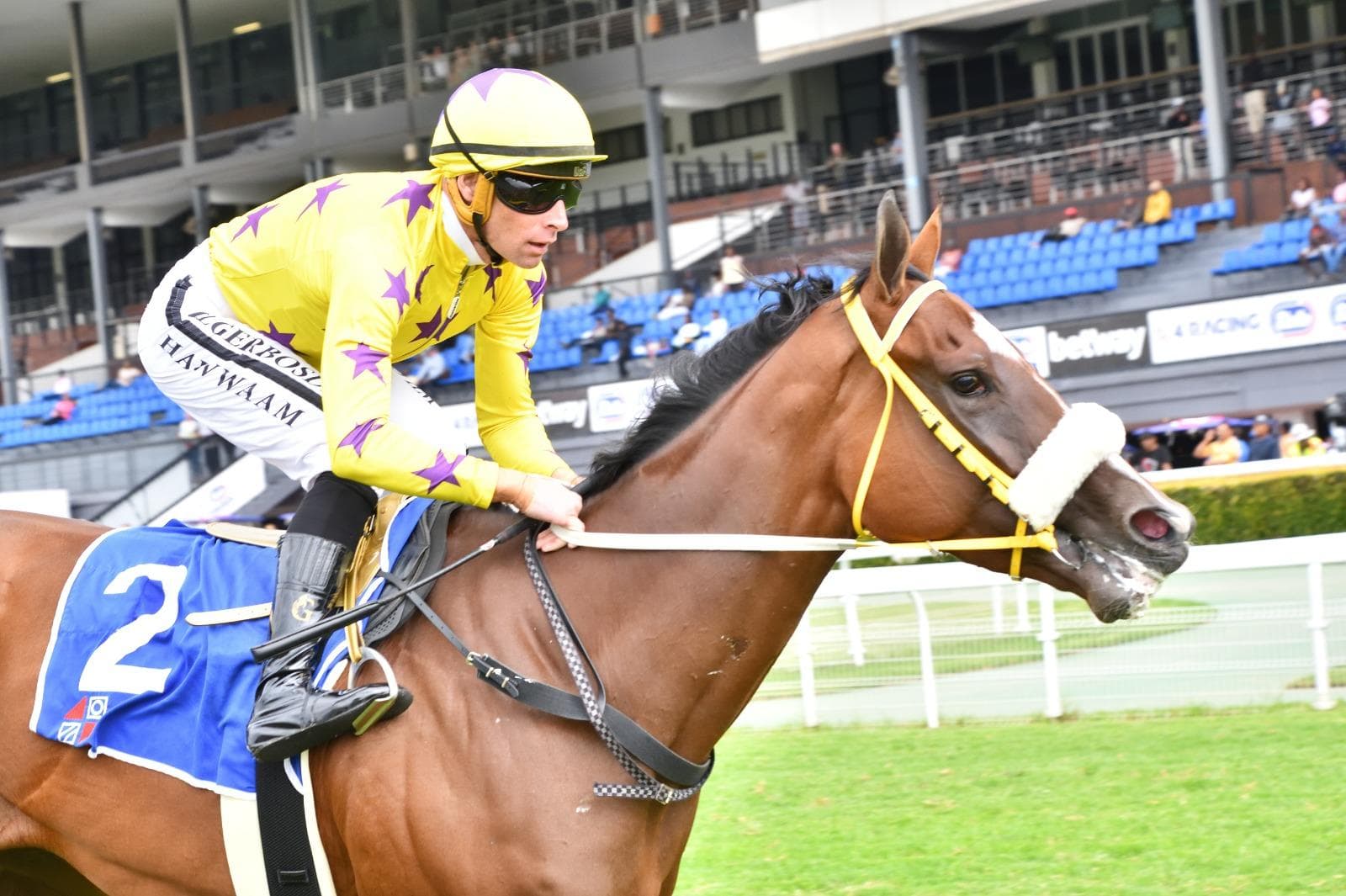 Runner comments, HWB Greyville