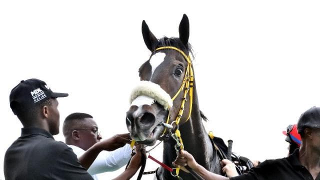 2025 Durban July: 1st Declarations