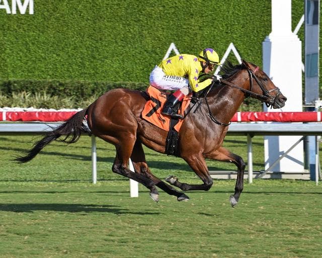 One Stripe scores first US win