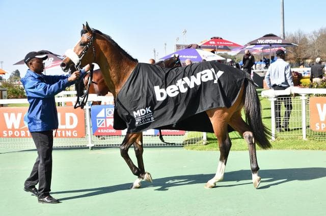 Runner comments: Trf 17 Aug; HWB Scottsville 20 Aug
