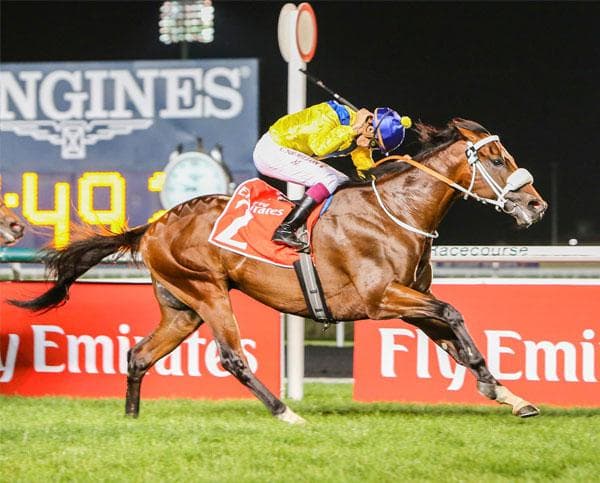 Breeding Powerhouses Reborn