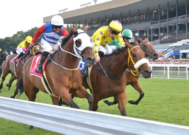 Two Hollywood winners from three runners