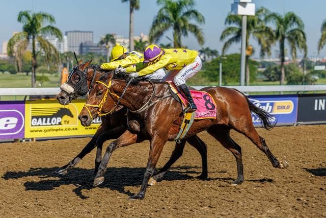 Trois Trois Quatre gets up for fifth career success