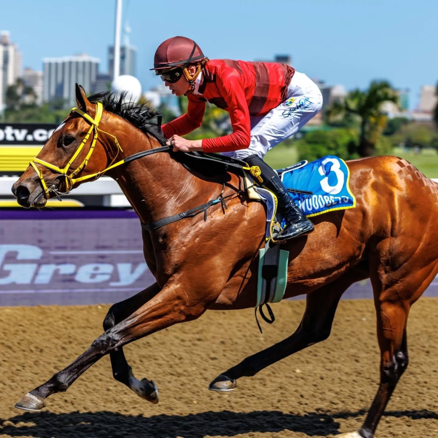 Runner comments, HWB Greyville 13/5