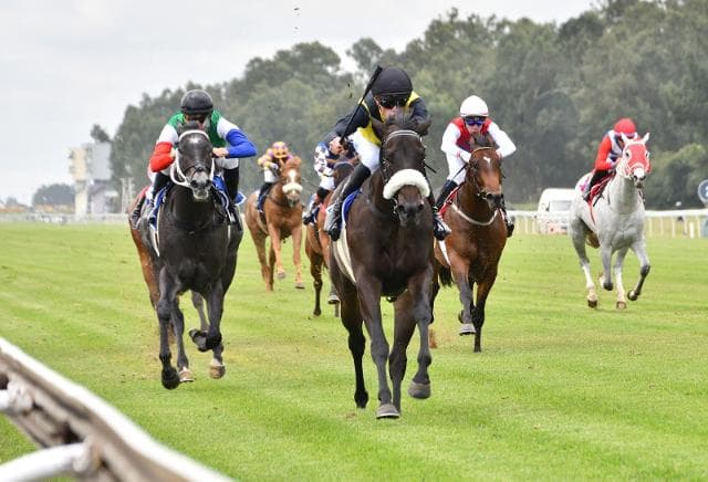 Easy and professional