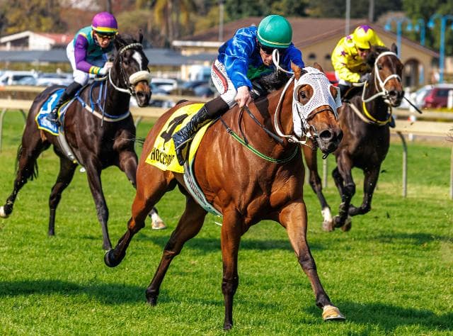 Sparkling Jubilee's successful swan song