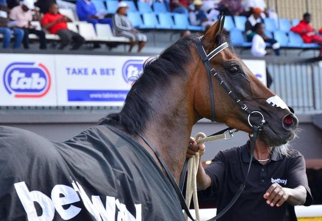 Turffontein runners, 16 October