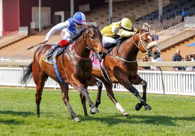 Runner comments: Greyville 24 May/Vaal 29 May