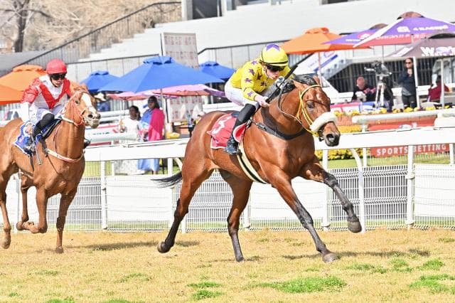 Our first winner with a Soqrat offspring