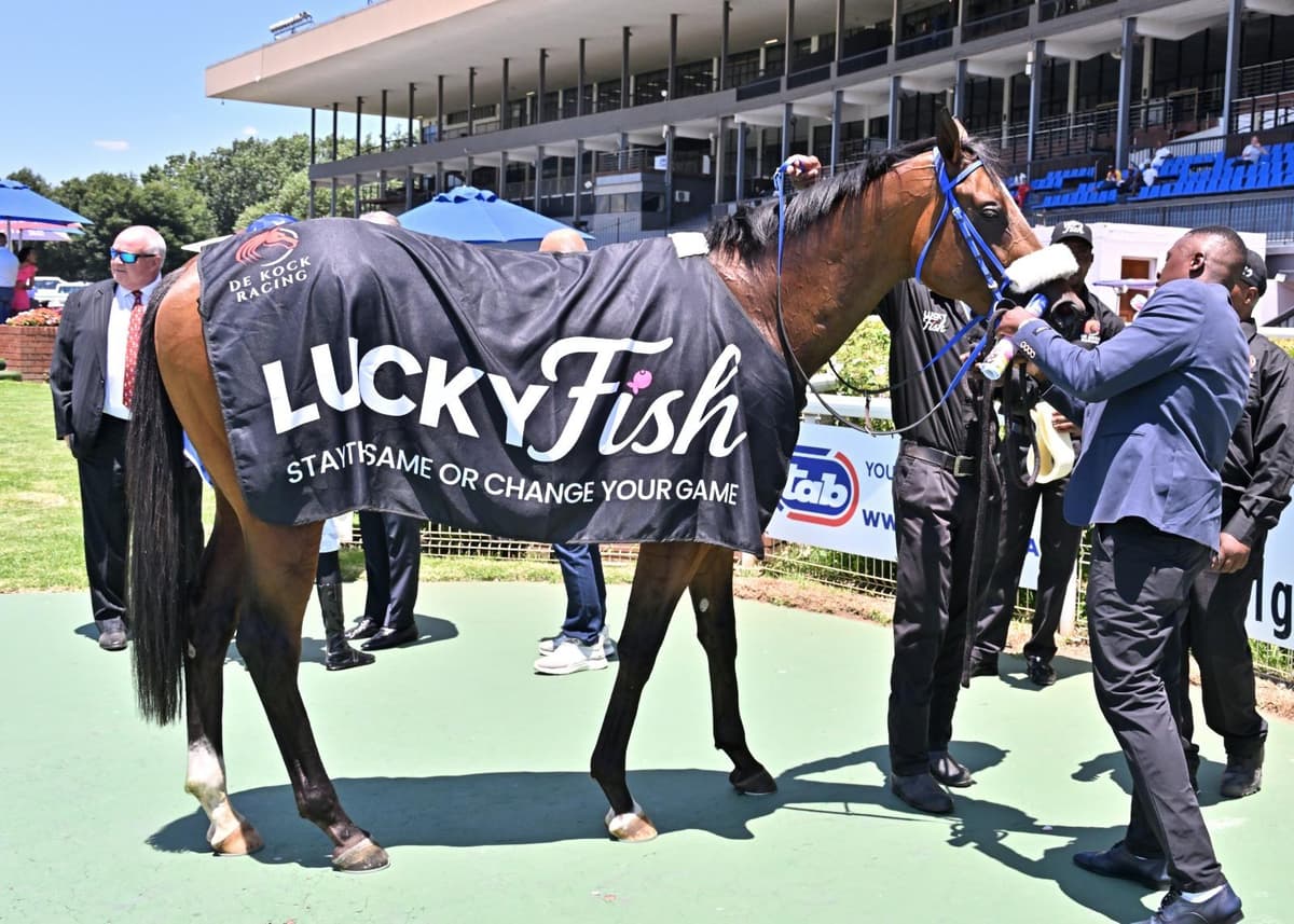 Runners, Vaal Thursday