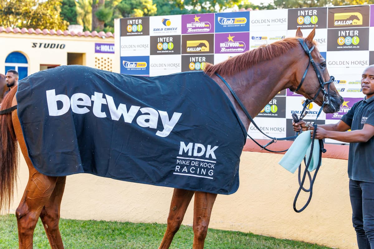 Icy Blast, start to finish