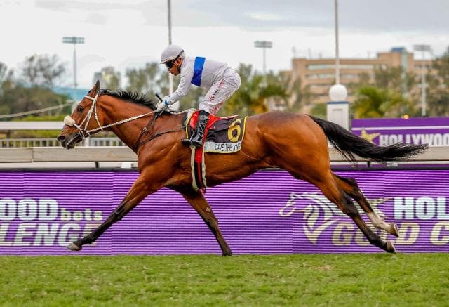 Runner previews, HWB Greyv 7 June/Trf 8 June '25