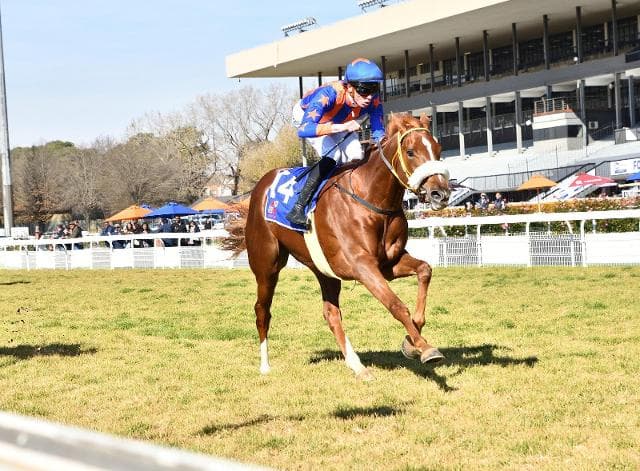 Schipole clears the runway
