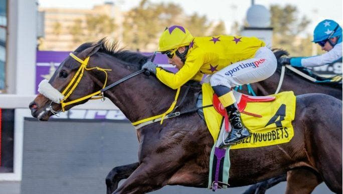 Runners for this weekend, 27-29 March