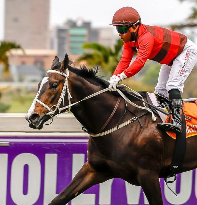 Weekend runners: Turffontein and HWB Scottsville
