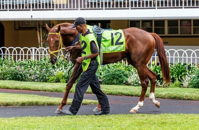 Runner comments into the New Year