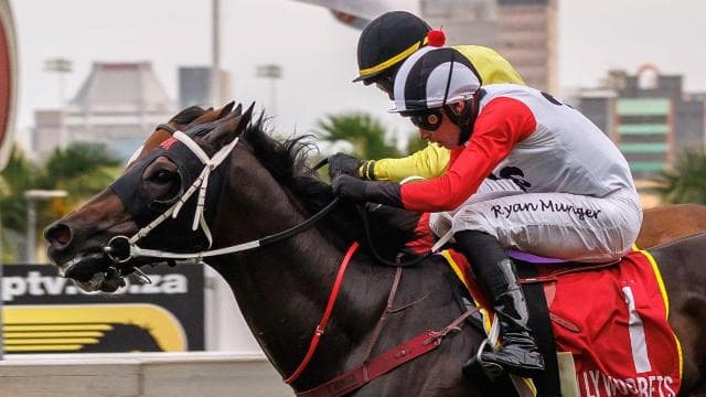 Runners at HWB Greyville on 10 Sept