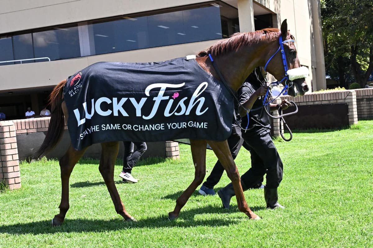 Vaal runner comments, Monday 4 May