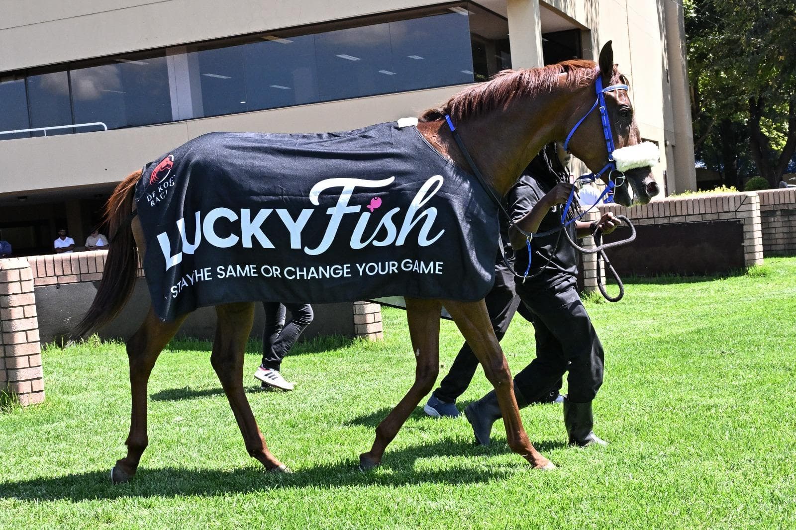 Vaal runner comments, Monday 4 May
