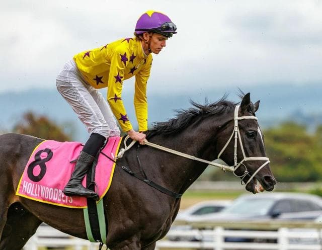 Weekend runner comments