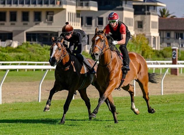 Latest on our Cape trio for this weekend