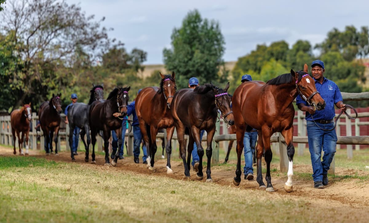 Excellent results at NYS!