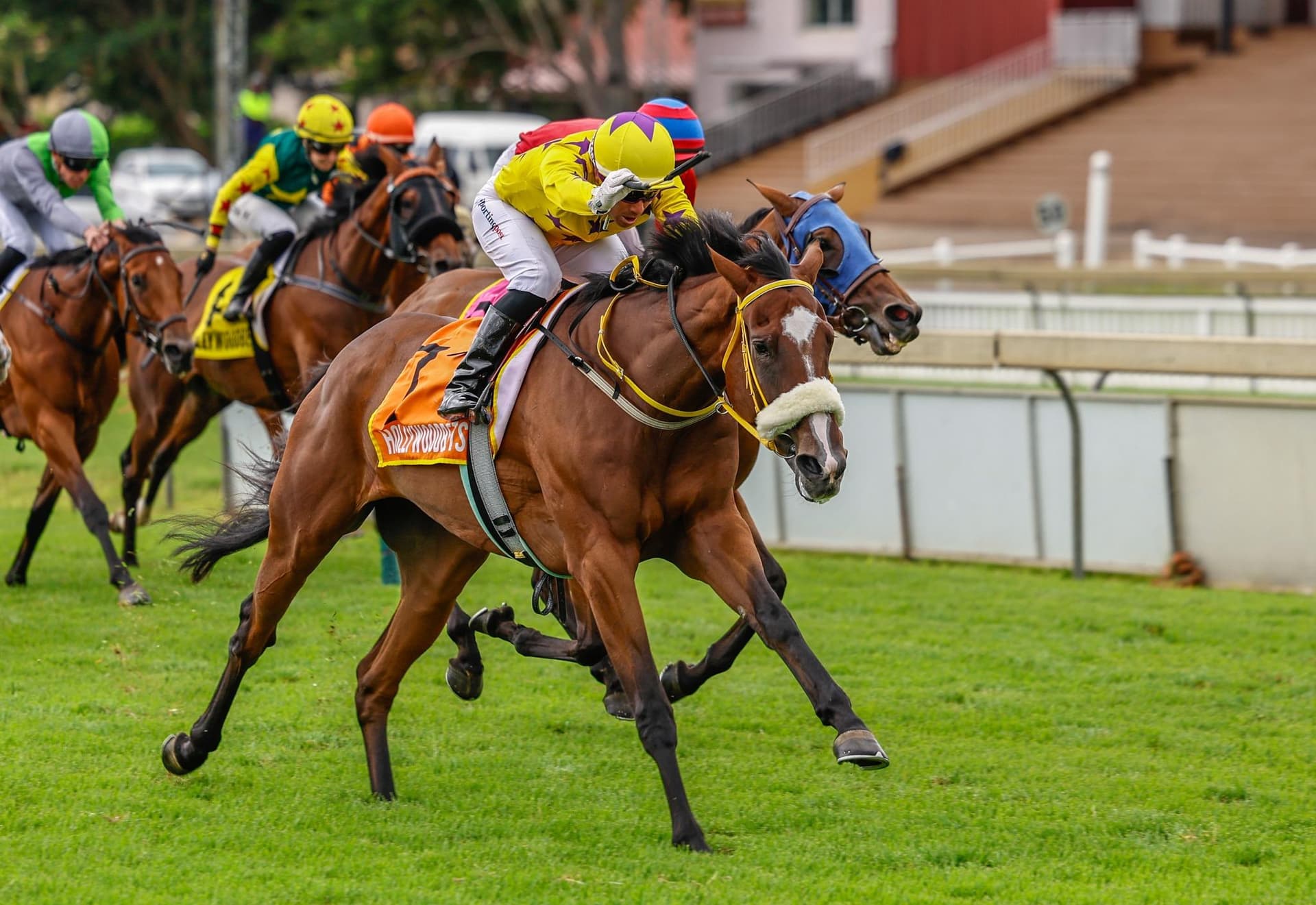 "She's tough, and she stays!"