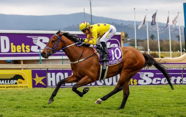 Runner comments, HWB Scottsville 14/9 and HWB Greyville 17/9