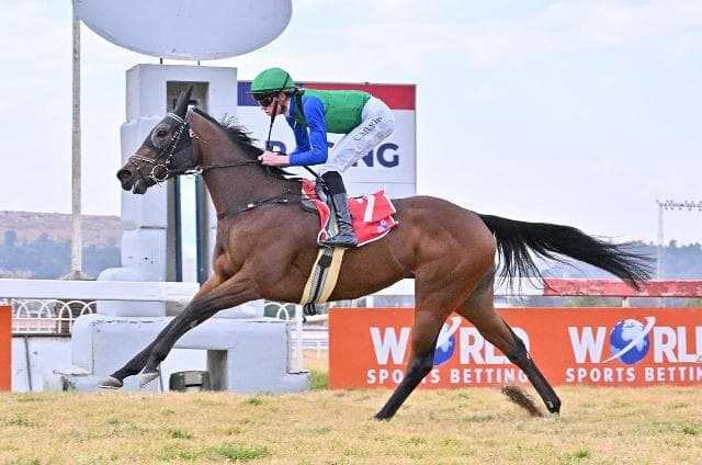 A quality filly, Miss Argonaut will win again
