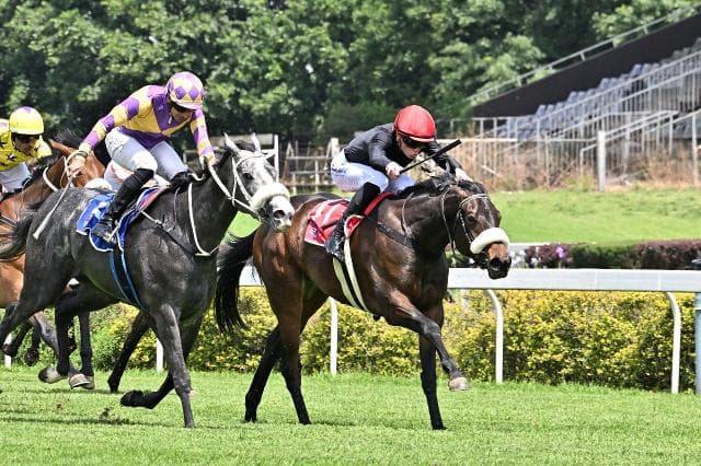 Queen Of Pearls wins gamely