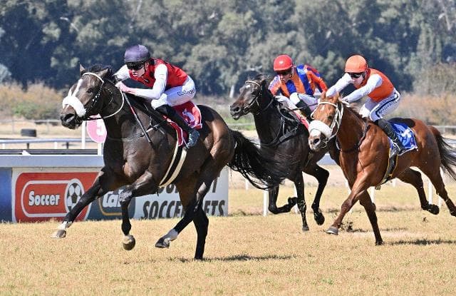 Starry signals from Constellation at the Vaal