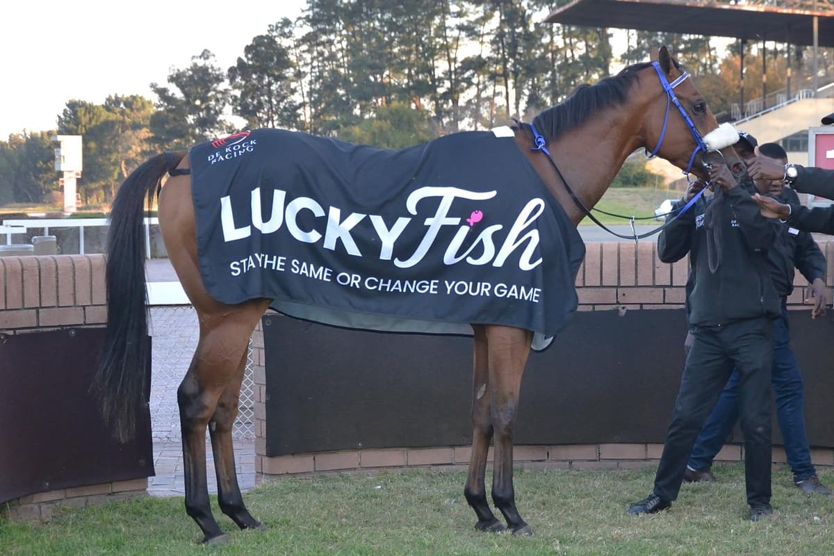 Runners at the Vaal on 25 June
