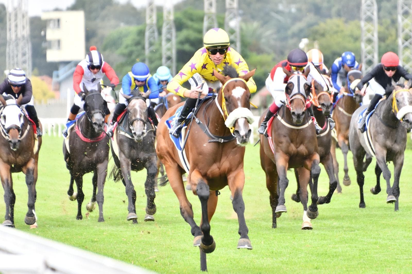 Curious Girl Shines As Oaks Decision Looms