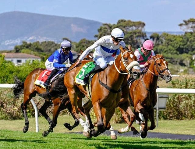 Weekend runners, HWB Kenilworth 10 Jan; Turffontein 11 Jan