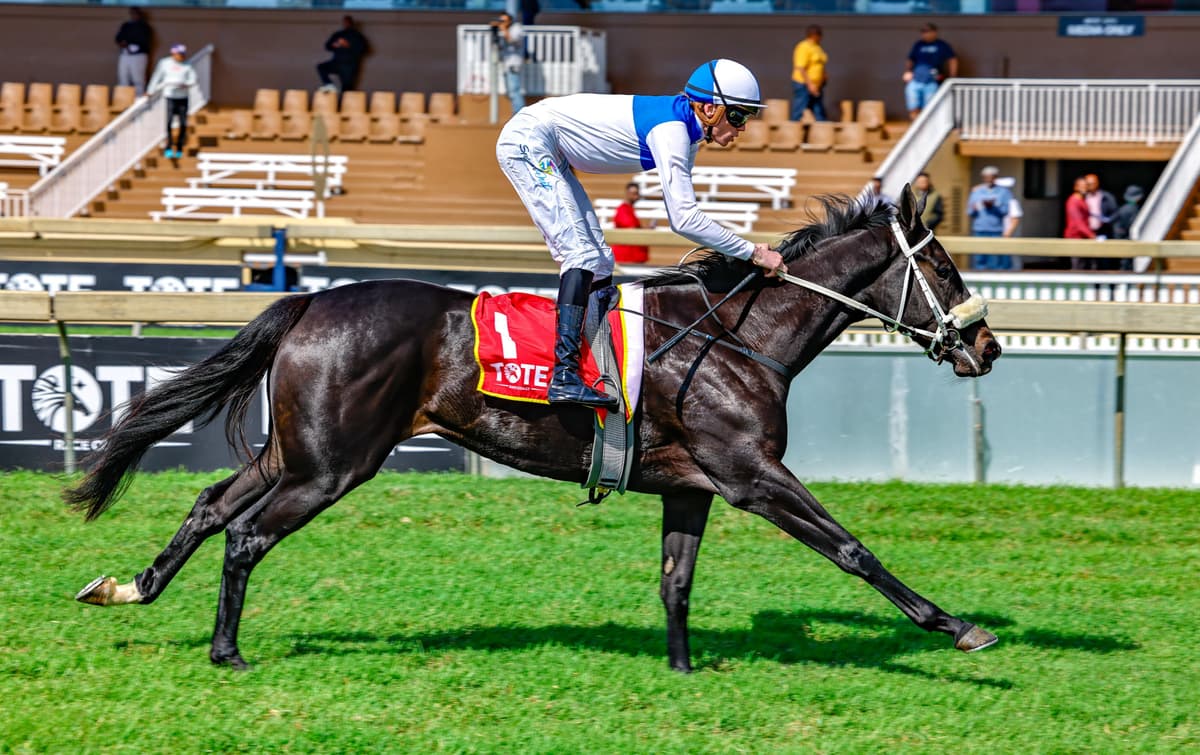 Greek Heritage promises more