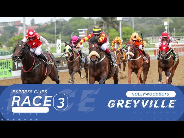 Next Of Kin, Hollywoodbets Greyville, 4 September 2026